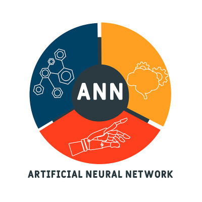 ANN -人工神经网络的缩写。