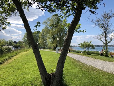 瑞士Kreuzlingen的Seeburgpark公园和植物园