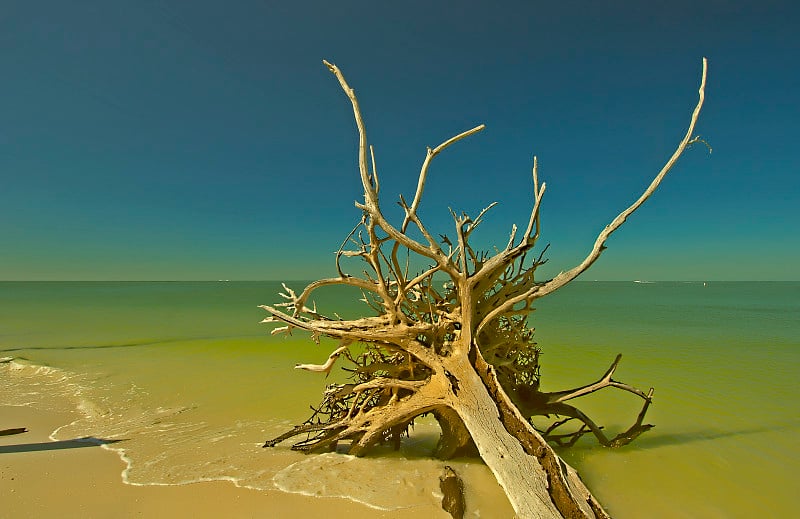 热带Beach-Florida