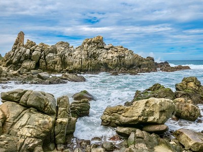 狂野的太平洋海岸