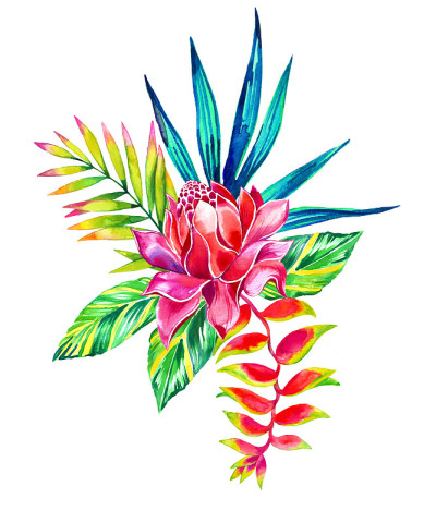 热带花束，水彩画用于时尚和室内。