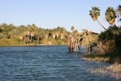 Laguna (lagoon) de San Ignacio, San Ignacio, Baja 