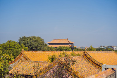 中国北京紫禁城的古代皇家宫殿