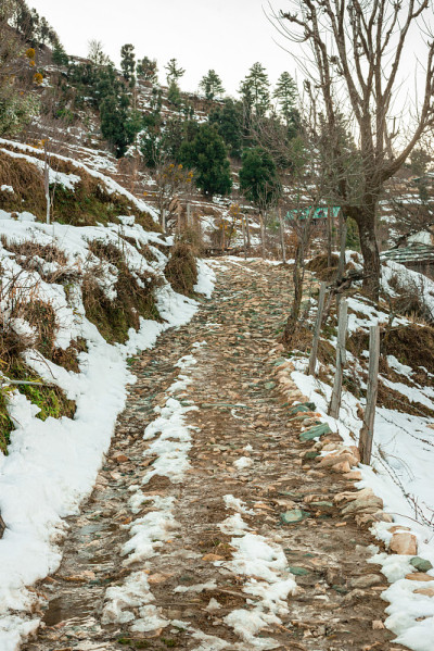 雪中的道路-雄伟的冬季景观在喜马拉雅山