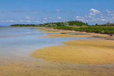 小夏浅湾