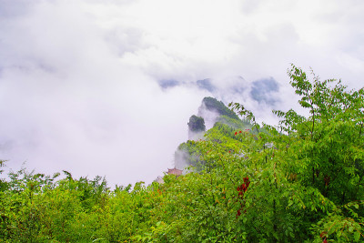 大峡谷