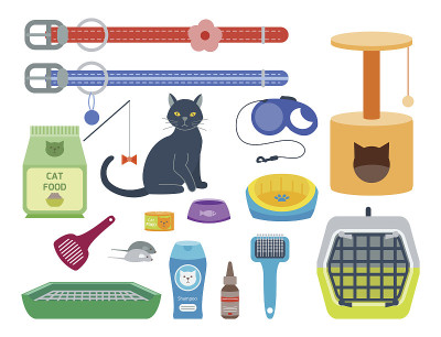 彩色的猫配件可爱的矢量动物图标宠物设备食物家猫插图