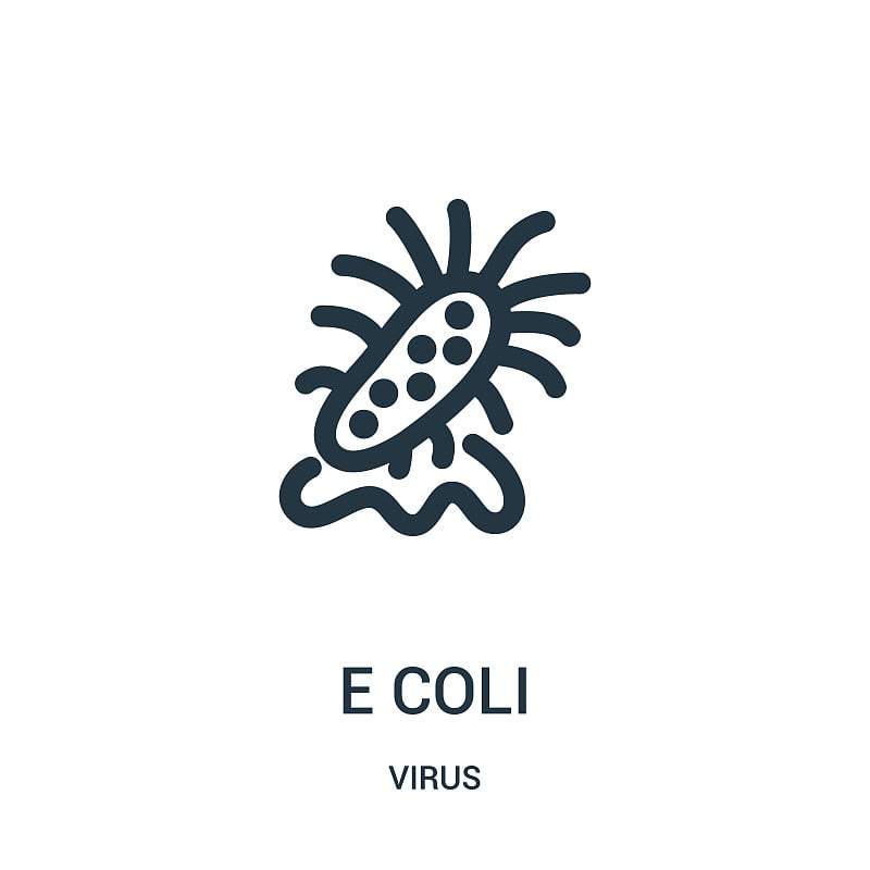 来自病毒收集的大肠杆菌图标载体。细线大肠杆菌轮廓图标矢量插图。
