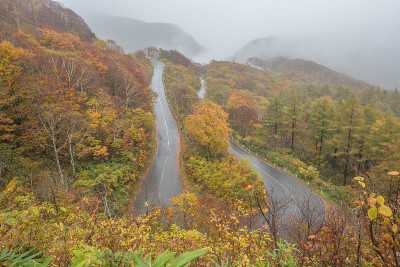 秋天的道路
