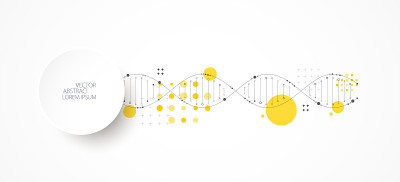 有DNA分子的科学模板，壁纸或横幅。向量