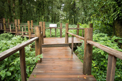 昂卡自然步道在Doi Inthanon国家公园，泰国清迈。