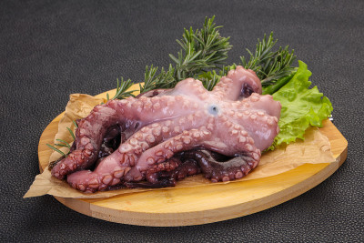 准备烹饪的生章鱼