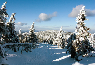 可以看到越野滑雪道和塞拉克山