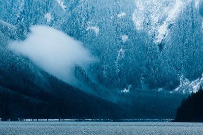 湖上黑雪