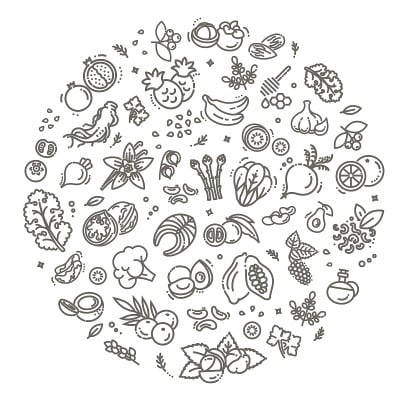 超级食物线矢量图标。有机食品