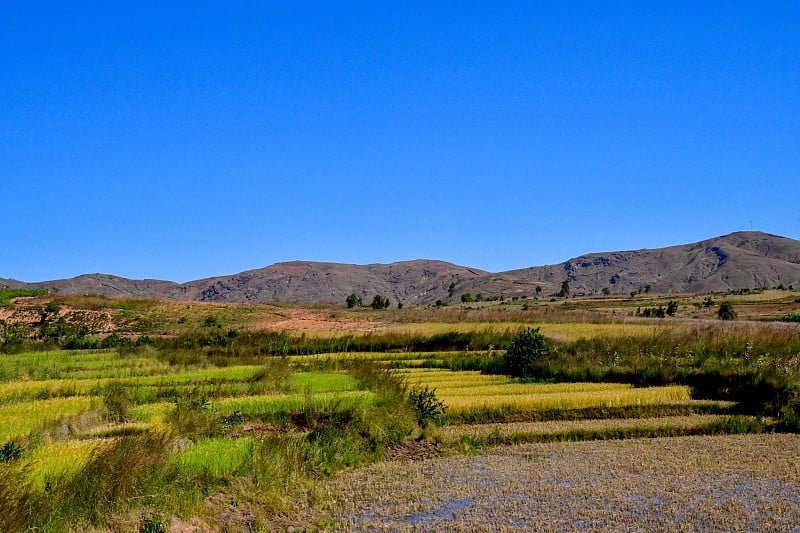 马达加斯加从塔那那利佛到莫龙达瓦的公路风景。梯田很漂亮。