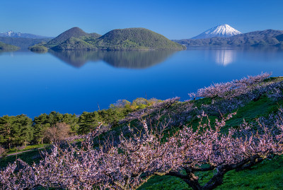 梅树，托雅湖和yotei山