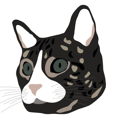 灰色的猫头和绿色的眼睛