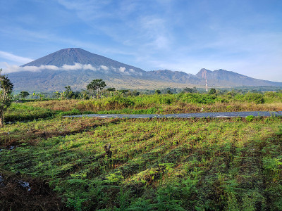 林贾尼山