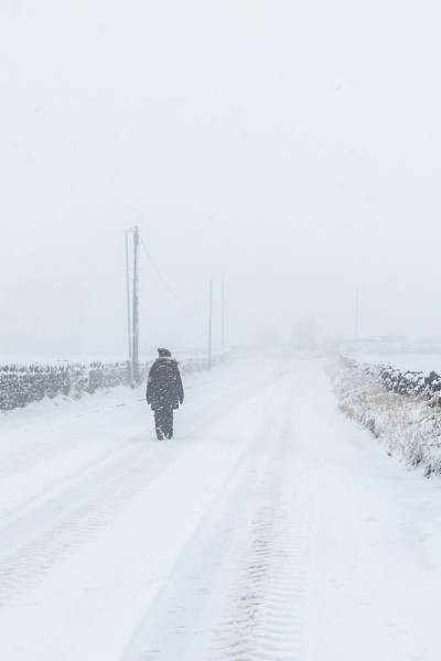 雪覆盖了道路