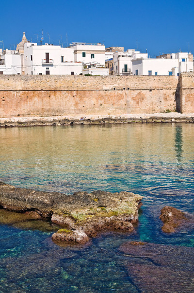 坚固的墙。Monopoli。普利亚区。意大利。