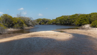 Lençóis Maranhenses国家公园的沼泽