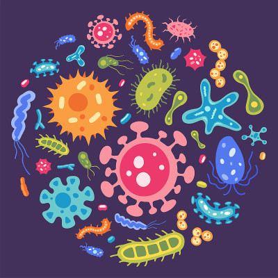 圆形平面病毒和微生物插图的载体收集。细菌的图标集。彩色卡通变形虫和杆菌。美丽的微生物集合。培养皿的概