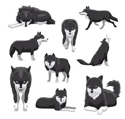黑白狼卡通矢量插图