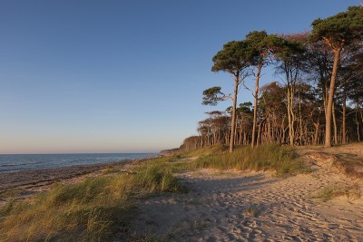 Darßer Weststrand在夜晚的光
