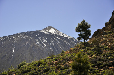 泰德火山