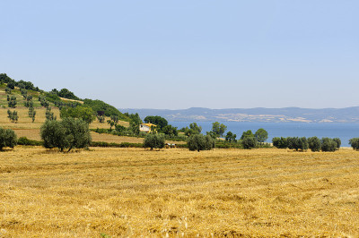 Bolsena lake(意大利语)