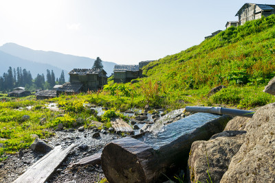 土耳其阿尔特文，戈吉特夏季山地高原