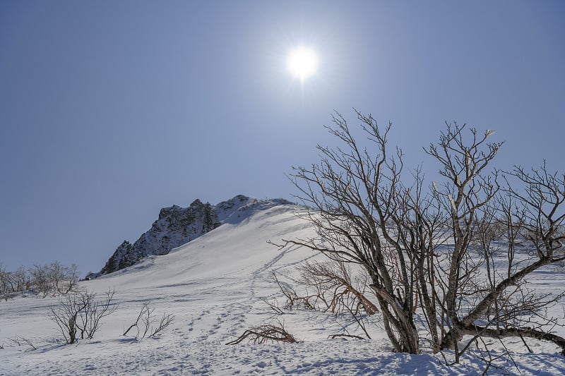 Mt.Bandaisan在春天