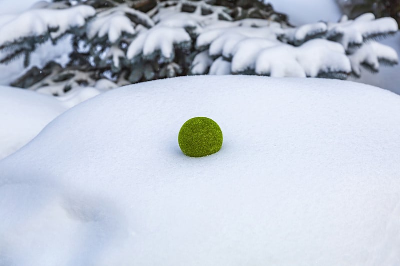 在一个积雪的公园里，亮绿色的毛绒球