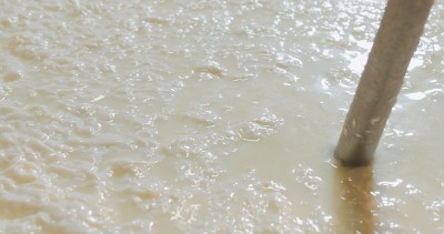 奶酪制作师使用新鲜的生物牛奶制作帕尔玛干酪。
