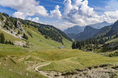 在布伦泽瓦尔德山区骑电动山地车的老妇人