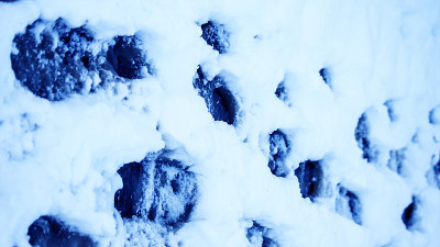 冬天雪地里肮脏的脚印。靴子在路上的踪迹
