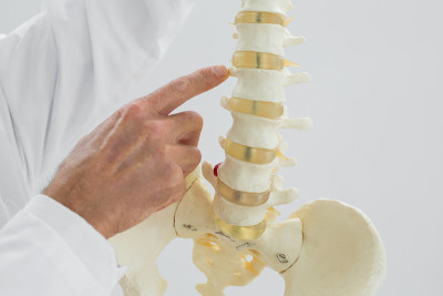 男医生骨架模型
