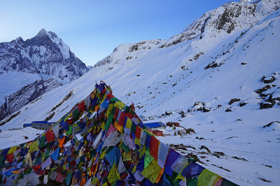 白雪皑皑的山景和五彩缤纷的彩旗，安娜普纳喜马拉雅山脉