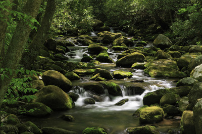 岩石流