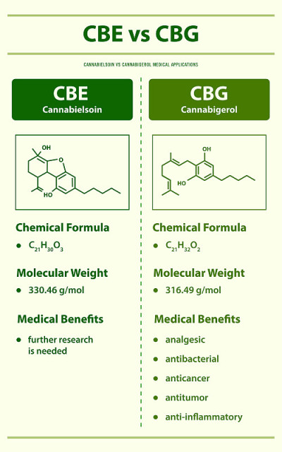 CBE vs CBG, Cannabisoin vs Cannabigerol垂直信息图