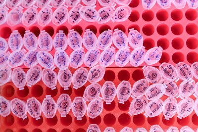 DNA研究用塑料管的实验室架。DNA gel-loading。科学、实验室和疾病研究的概念。