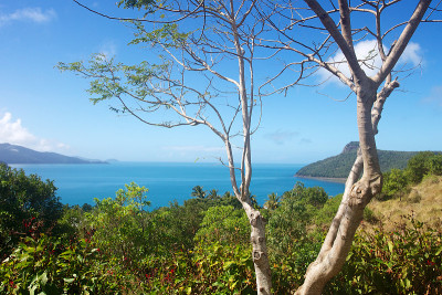 热带岛屿海景