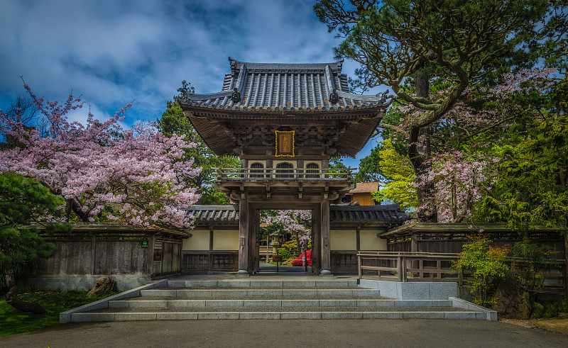 日本茶园