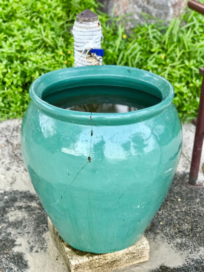 海滩冲洗淋浴站与绿色花盆
