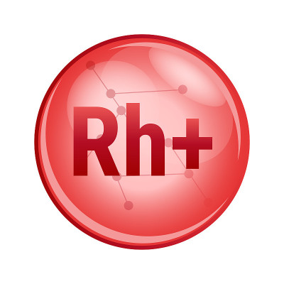 Rh+阳性，恒河猴或Rh因子。矢量医疗图标的健康，献血，d抗原，红细胞。