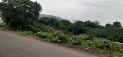 道路和工厂