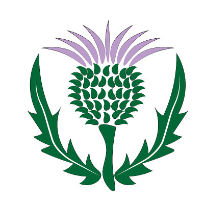 thistle Scotland symbol and emblem