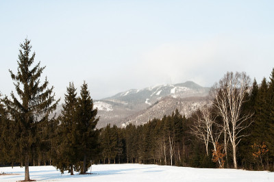 特伦布兰特山滑雪场冬天
