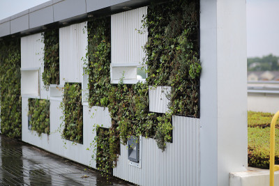 城市园艺-屋顶多肉植物的生活墙